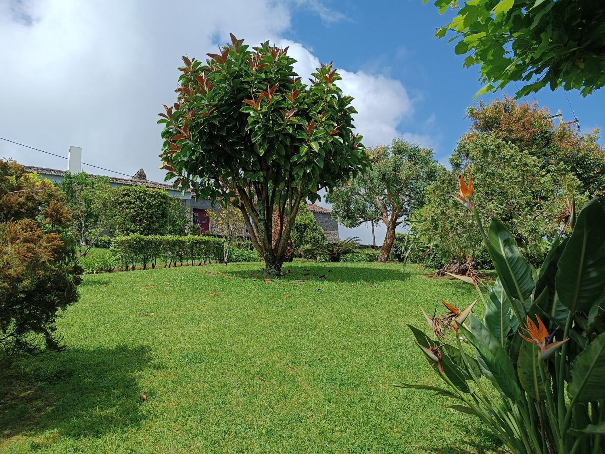 Tradicampo Eco Country Houses Nordeste Kültér fotó