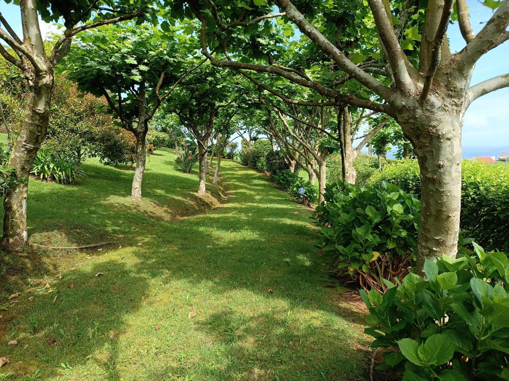Tradicampo Eco Country Houses Nordeste Kültér fotó