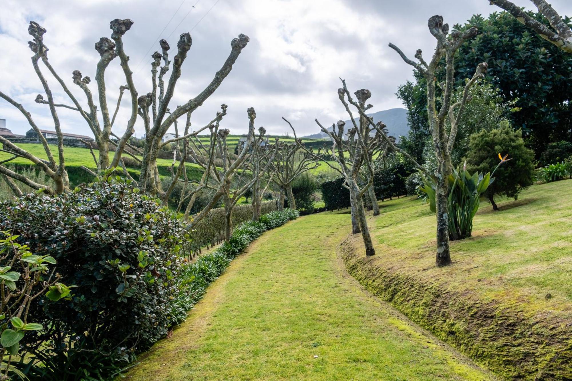 Tradicampo Eco Country Houses Nordeste Kültér fotó